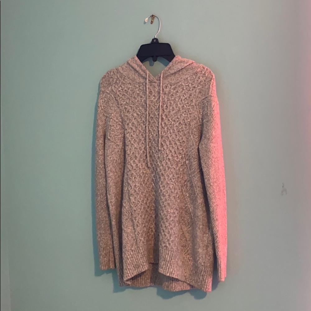 American Eagle Hooded Sweater